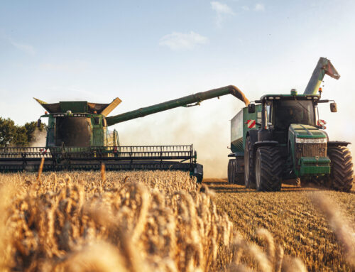 Grow Together: Announcing the New LCS Co-Op Advertising Program