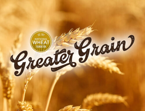 Limagrain Cereal Seeds 2025 National Wheat Yield Contest Winners
