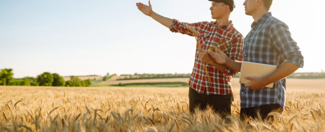 Two agronomy professionals standing in a wheat field discussing crop conditions during a Limagrain Cereal Seeds field day